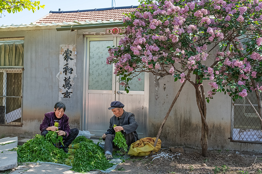 5《丁香樹下》.jpg